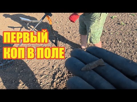 Видео: ПЕРВЫЙ КОП В ПОЛЕ ПО СКИФАМ. НАШЛИ МОНЕТЫ И НАКОНЕЧНИК. NOKTA SIMPLEX ULTRA