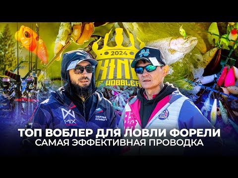 Видео: ТОП ВОБЛЕР для ловли ФОРЕЛИ: LI-WORM NANO! Самая ЭФФЕКТИВНАЯ ПРОВОДКА от MIX TEAM.