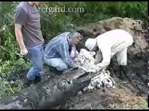 Видео: Подъем немецкого самолета Heinkel Не 111 и контейнера / Search German aircraft Heinkel He 111