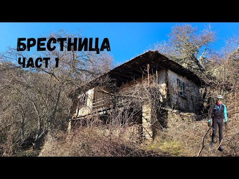 Видео: Село Горна Брестница...Част 1...Синадинска махала...