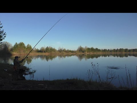 Видео: ПОПЛАВОК НА ЧЕРНОМ ОЗЕРЕ. РЫБАЛКА В МАЕ