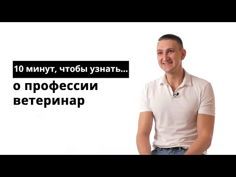 Видео: 10 минут, чтобы узнать о профессии ветеринар