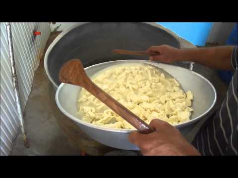 Видео: Как делают сыр сулугуни в Грузии, домашнее приготовление