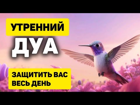 Видео: УТРЕННИЙ ДУА أذكار الصباح ЗАЩИТИТЬ ВАС ВЕСЬ ДЕНЬ | СЛУШАЙТЕ КАЖДОЕ УТРО!