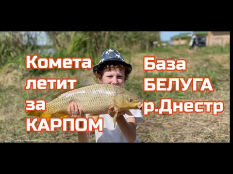 Видео: 2 серия.СУПЕР клёв КАРПА на "КОМЕТУ " на базе БЕЛУГА.р Днестр