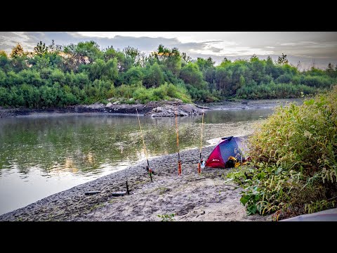 Видео: Мы нашли таинственную глубокую яму в лесу... (БОЛЬШАЯ рыба!)