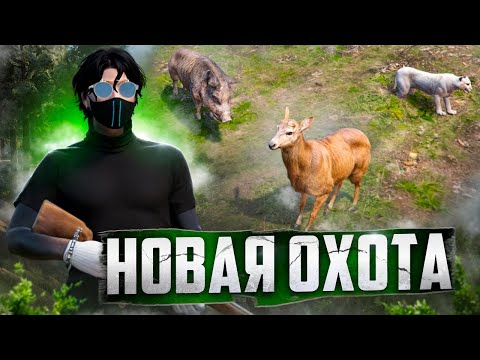Видео: СКОЛЬКО МОЖНО ЗАРАБОТАТЬ В ЧАС НА ОБНОВЛЕННОЙ ОХОТЕ В GTA 5 RP? НОВАЯ ОХОТА НА ГТА 5 РП В 2025.
