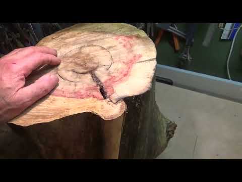 Видео: Работа с красным кленом. 1 часть . Working with red maple. 1 part .