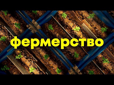 Видео: ПОЛНЫЙ гайд по фермерству, чаю и баффам - Генетика в [Rust/Раст]