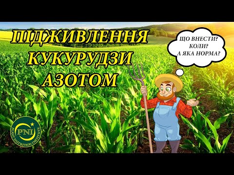 Видео: Підживлення кукурудзи азотом