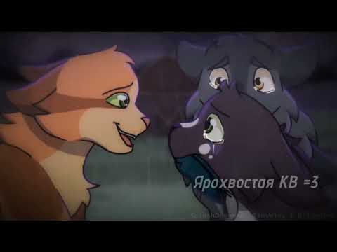 Видео: ~Клип Горелый "Лететь" ~Warrior Cats~ #котывоители #кв #лететь #дружба #клип