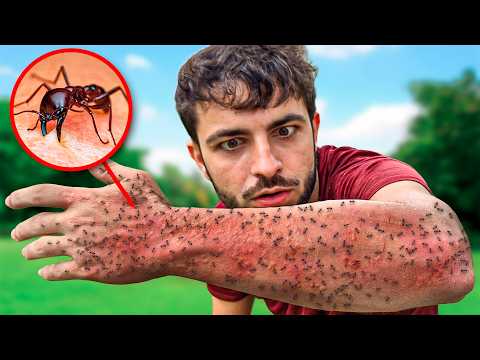 Видео: МУРАВЬИ Уровень 1 - 5 !