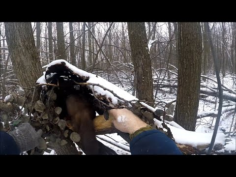 Видео: Охота на куницу. Куница в крайнем капкане (Будни охотника и рыбака)