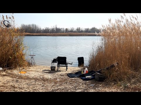 Видео: ВОТ ОНА-РЫБАЛКА! СТАВЛЮ МАКУШАТНИК И СНАСТЬ НА ПЕЛЕНГАСА. НОЧНОЙ ОТДЫХ ВОЗЛЕ КОСТРА.