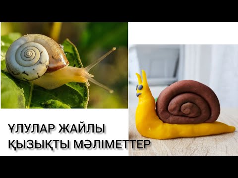 Видео: Ұлулар жайлы. Про улиток. Улитка из пластилина. Snail. UlaRizael