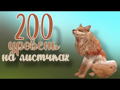 Видео: 200 уровень на ЛИСИЧКАХ в WildCfaft!🦊