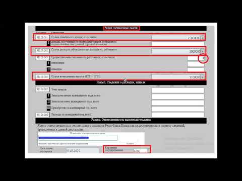 Видео: Как сдать декларацию по форме 913 за 2 квартал 2025 года для ИП применяющих СНР розничного налога
