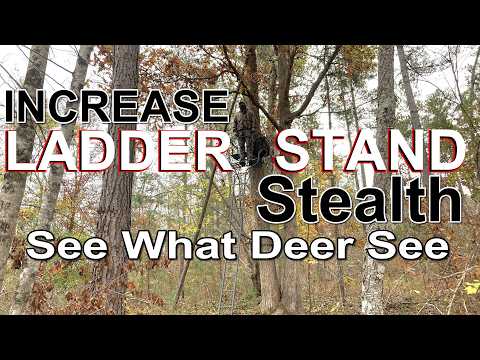 Видео: ЛУЧШИЙ камуфляж для охоты с лестничной стойкой, размещение и тактика