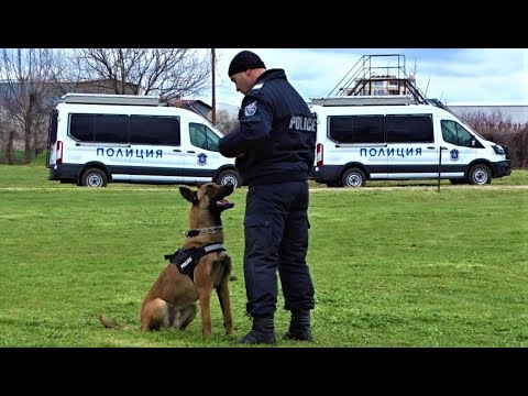 Видео: Police K9 Unit Demonstration 2018 Bulgaria - СПС Пловдив - Special Police Forces Plovdiv