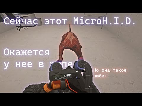 Видео: SCP:SL — как играть за собаку? | SCP-939: подробный гайд