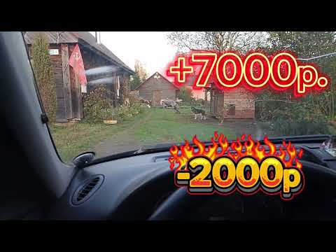 Видео: ГАЗель неделя работы как то так