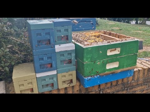 Видео: Работа с нуклеусами. September 2025