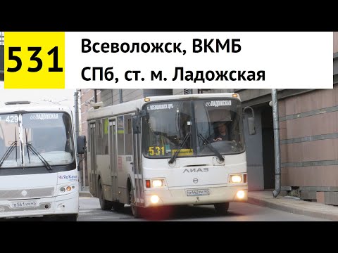 Видео: Автобус 531 "СПб, ст. м. "Ладожская" - Всеволожск, ВКМБ"