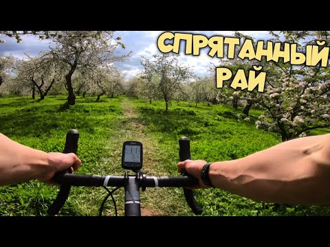 Видео: ГРЕВЕЛ покатушка | НЕВЕРОЯТНОЕ место в Коломенском парке