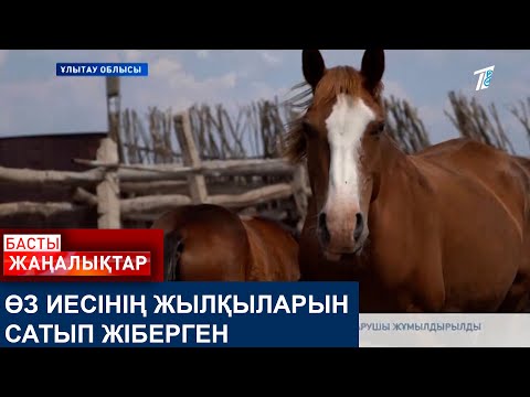 Видео: ӨЗ ИЕСІНІҢ ЖЫЛҚЫЛАРЫН САТЫП ЖІБЕРГЕН