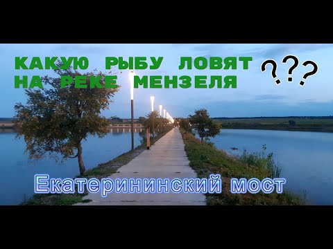 Видео: Какую рыбу ловят рыбаки на реке Мензеля? / Прогулка по Екатерининскому мосту