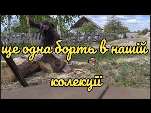 Видео: Дід Юхим. Зробили ще одну борть, як зробити вулик із колоди