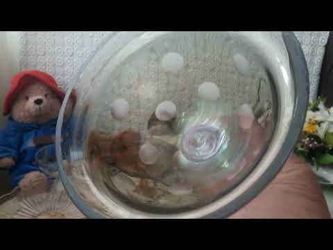 Видео: Стекло.СССР. Миниатюрные вазочки на ножке.👍🏻👍🏻👍🏻💥💥💥