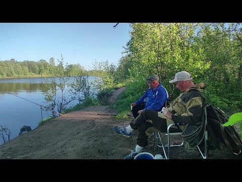 Видео: Лещ на Донки.Судак на блесну.Летняя рыбалка на Понтонном мосту.Река Иж.