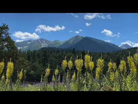 Видео: Выход из трудных состояний и настройка на поток Жизни. Практика