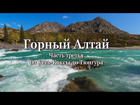 Видео: Горный Алтай. Часть третья. От Усть-Коксы до Тюнгура