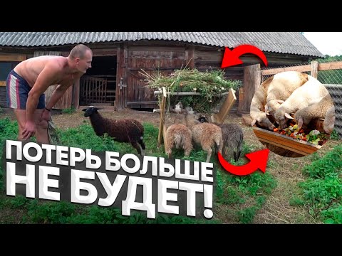 Видео: КУПИЛ ХУТОР в ЛЕСУ на КРАЮ БОЛОТА. УРОЖАЙ ТАК СЕБЕ! № 150.