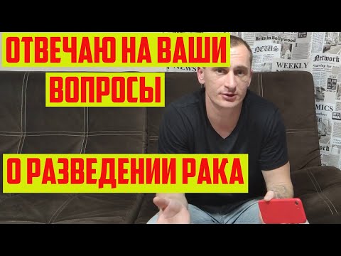 Видео: Все что нужно знать о разведении РАКА (АККР)Отвечаю на Ваши вопросы ч.1