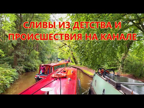Видео: Сливы из детства, остров Москва в английском городке. Такое движение на Llangollen канал! Часть 8.UK