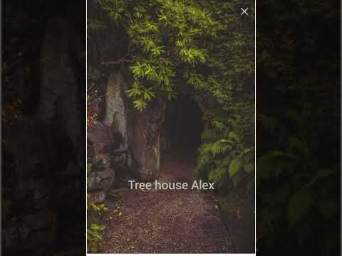 Видео: ♪♡ песни в стиле goblincore♡♪