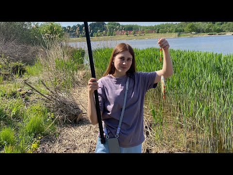 Видео: Рыбалка в Литве.Развлечение с друзьями.