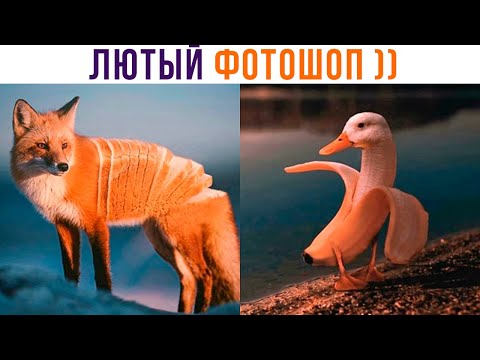 Видео: КАКОВА ВСЁ-ТАКИ ПРИРОДА ))) Приколы | Мемозг 1045