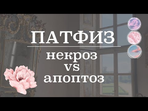 Видео: Некроз и Апоптоз (различие, механизм и характеристика) | Патологическая Физиология