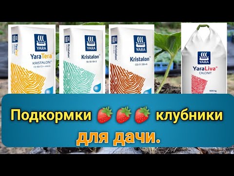 Видео: Чем подкормить 🍓КЛУБНИКУ🍓 на даче. Belklubnika.by