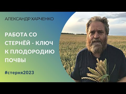 Видео: Александр Харченко: «Работа со стернёй – ключ к плодородию почвы»