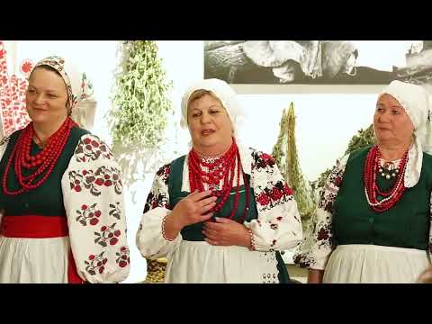 Видео: Краєзнавець Юрій Дахно збирає старожитності Чернігівського краю.
