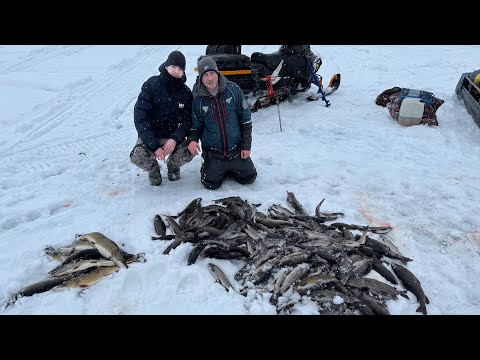 Видео: УДАЧНАЯ РЫБАЛКА НА ХАРИУСА | ЗАВЕРШЕНИЕ | ДЕНЬ 2 ЧАСТЬ 2