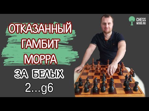 Видео: Отказанный гамбит Морра за белых с ходом черных 2...g6