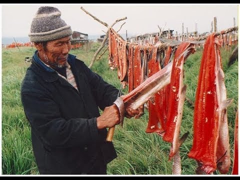 Видео: Вяленая Рыба по Сибирски. Юкола из Щуки. Как Засолить Рыбу