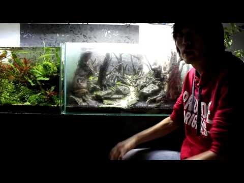 Видео: Ответы на вопросы. часть 1.