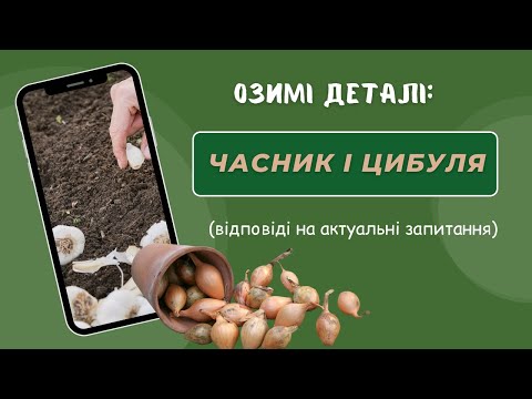 Видео: Як посадити озимі часник та цибулю, якщо раптом сівозміна неможлива? Як уникнути стрілкування цибулі